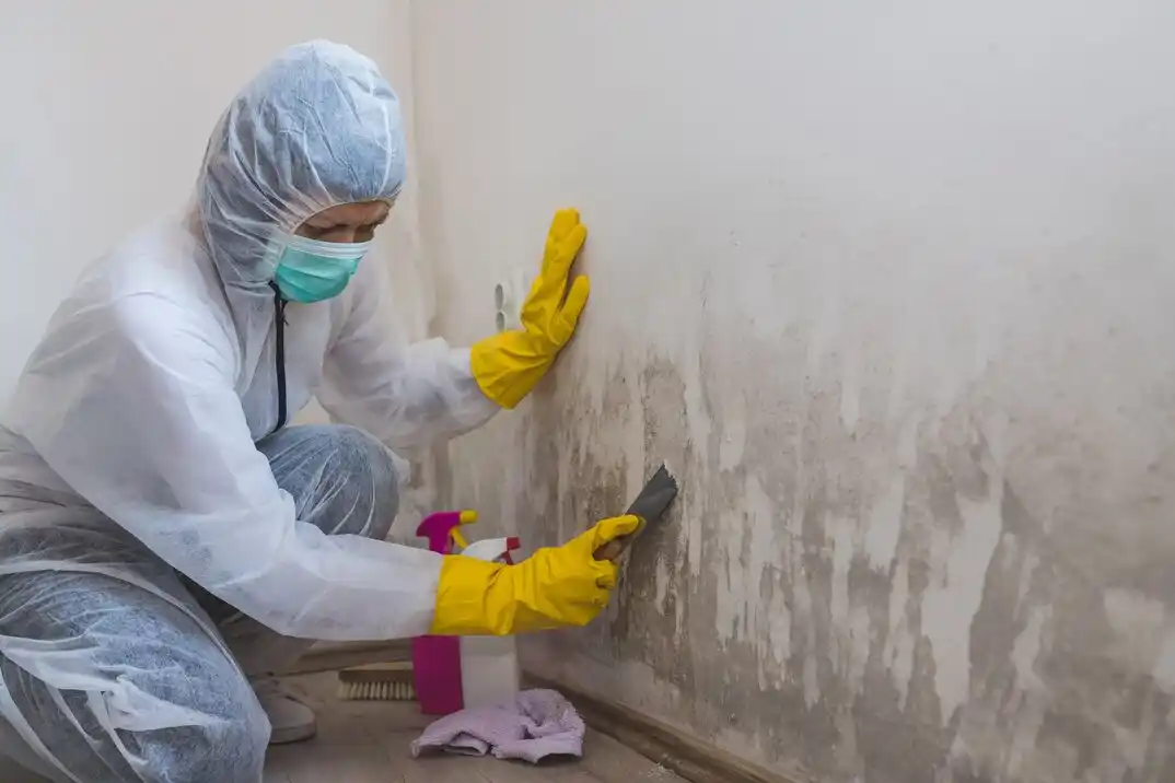 water damage restoration service Kensington Park